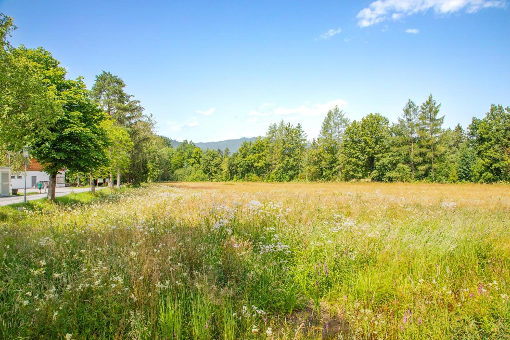 Moosaik Appartements Strobl Luaran gambar
